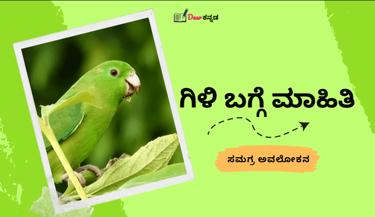 Parrot Information in Kannada