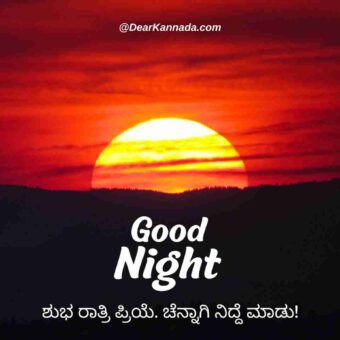 Best Good Night Wishes in Kannada 6