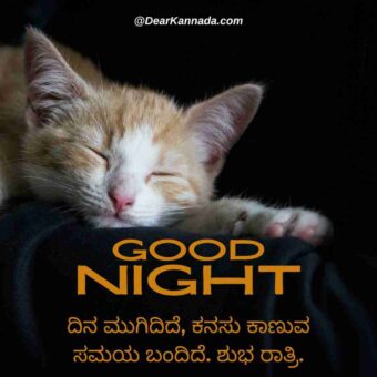 Good Night Quotes in Kannada 6