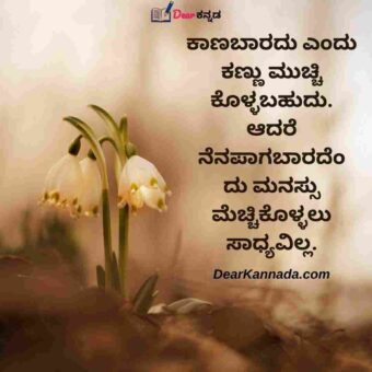 jeevana life quotes in kannada image