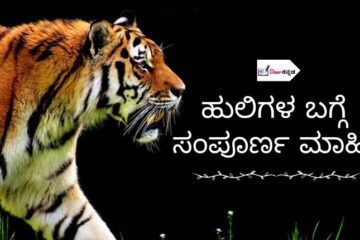 Tiger Information in Kannada Language