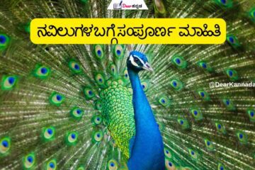 Information About Peacock in Kannada