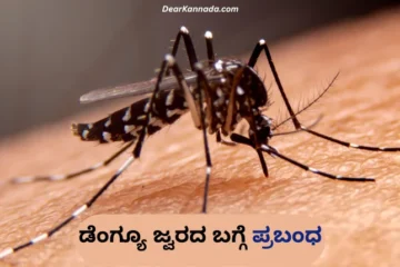 Dengue Essay in Kannada for Students, Teachers or Anyone for Exams or Speeches